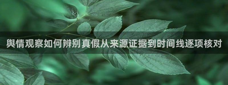 91吃瓜入口地址