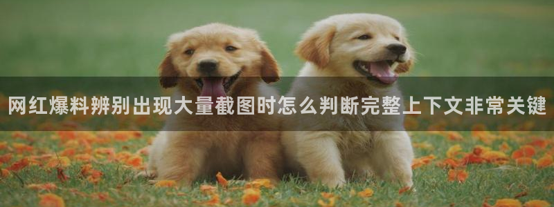 91吃瓜首页入口