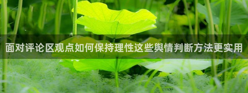 91吃瓜在线观看最新地址入口