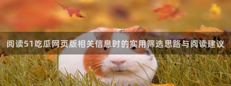 吃瓜入口导航