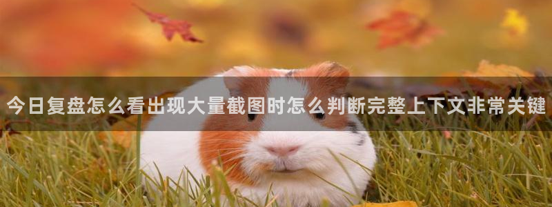 91吃瓜每日热搜