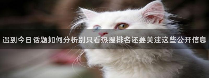 91吃瓜最新话题