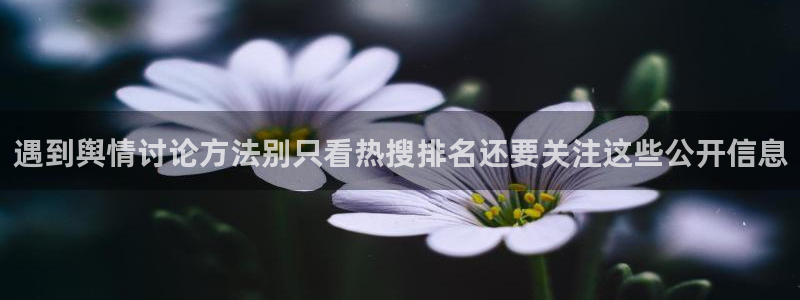 91吃瓜在线观看最新网址入口