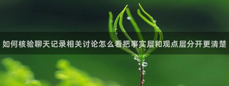 91吃瓜每日热门:如何核验聊天记录相关讨论怎么看把事实层和观点层分开更清楚