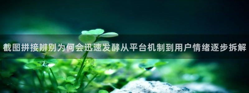 91吃瓜每日事件